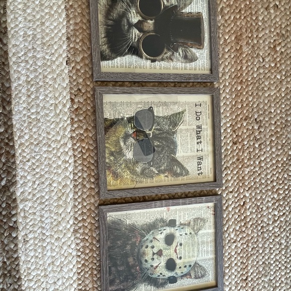 Cat Canvas - Picture 3 of 3